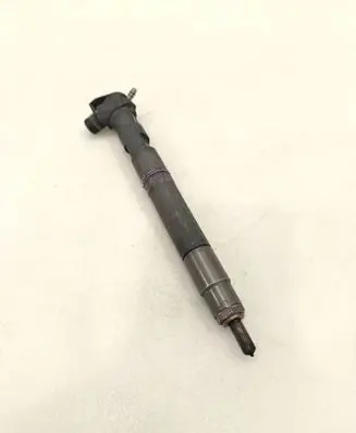 Chevrolet Captiva Fuel injector 28489548 25195089 2P12519JJA