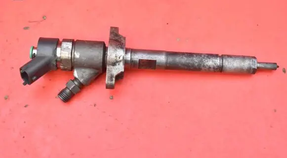 Peugeot 407 Fuel injector 606680