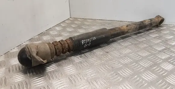 Skoda Roomster (5J) Rear shock absorber/damper 1J9513025F
