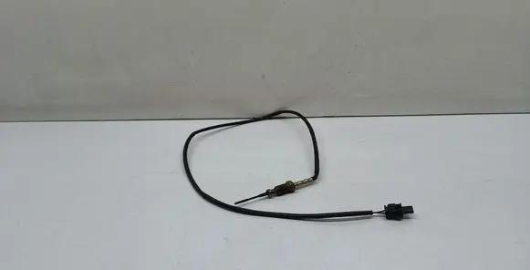 Exhaust gas temperature sensor