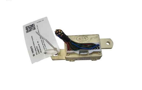 KIA Sorento Other control units/modules AK64454