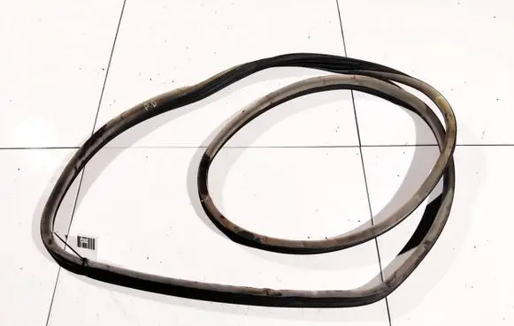 Renault Espace - Grand espace IV Rubber seal front coupe door 