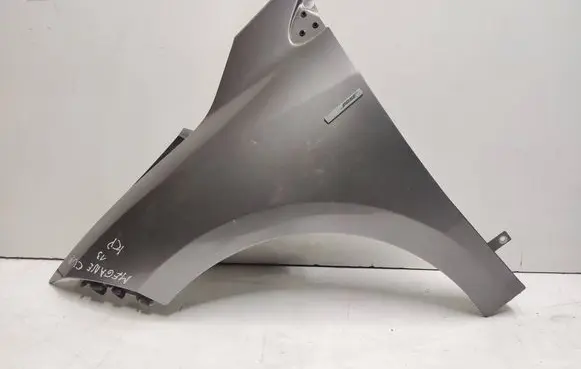 Renault Megane III Fender
