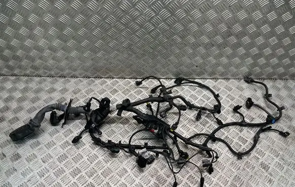 BMW X1 F48 F49 Engine installation wiring loom 858360706