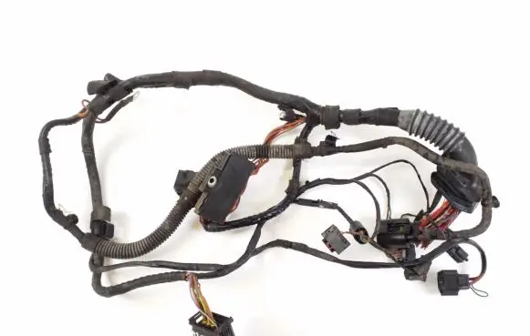 BMW Z4 E89 Other wiring loom 6941424