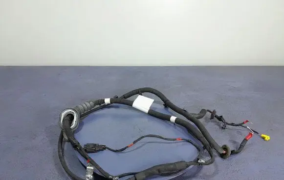 Renault Arkana Other wiring loom 240103291R