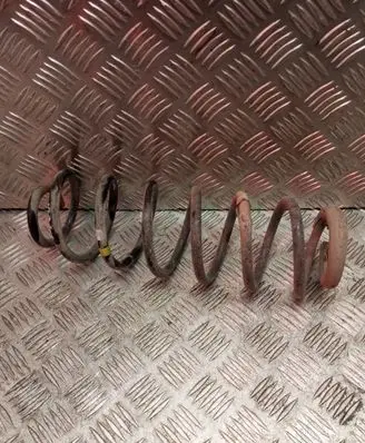 Rear coil spring