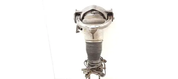 Porsche Cayenne (9PA) Air suspension front shock absorber 7L5412022AK