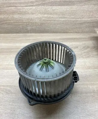 Heater fan/blower