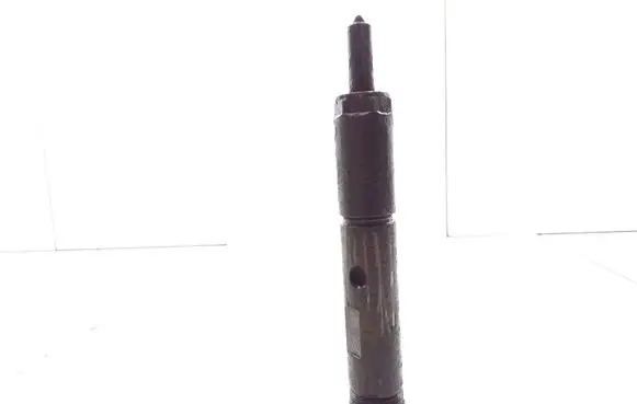 Opel Zafira A Fuel injector 24443598