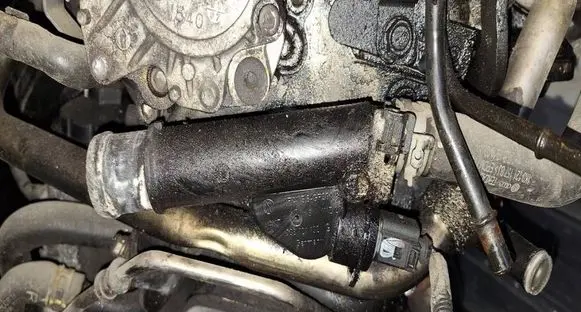 Chrysler Sebring (JS) Engine coolant pipe/hose 038121132