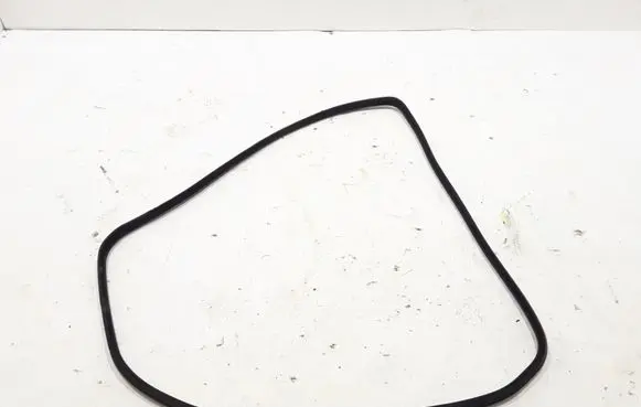 Rear door rubber seal (on body)