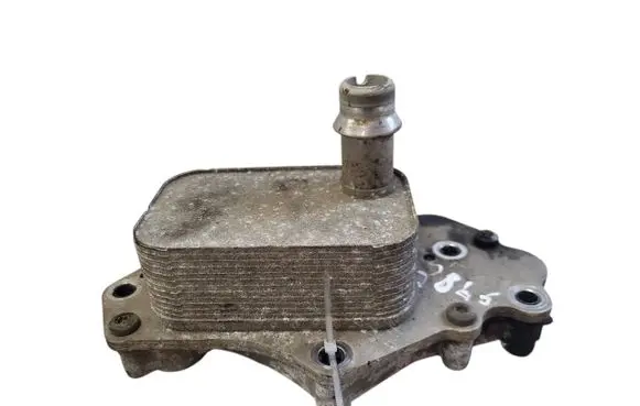 Opel Astra K Engine oil radiator 55599943 281802049