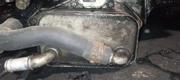 Engine oil radiator