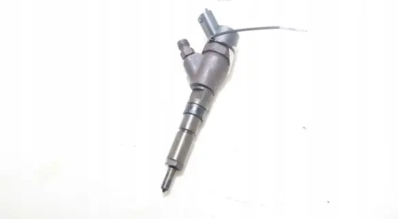 Peugeot Boxer Fuel injector 0445110076