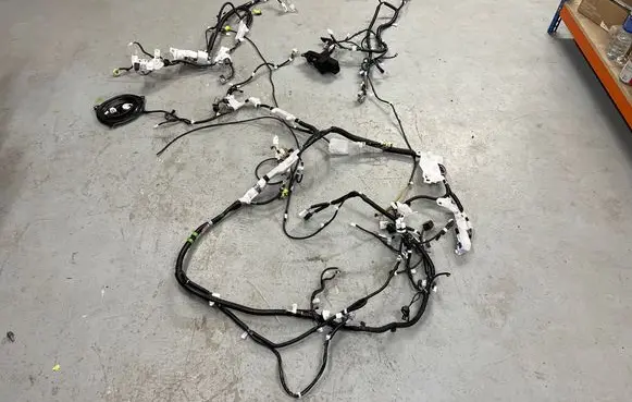 Toyota RAV 4 (XA50) Wiring harness 