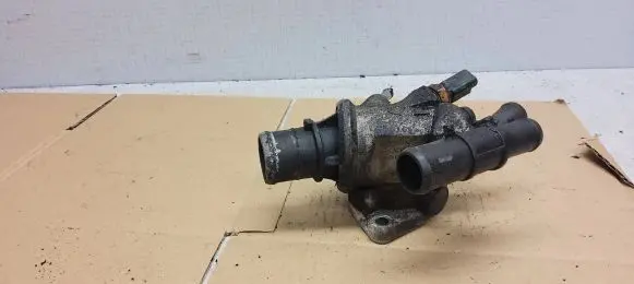 Thermostat/thermostat housing