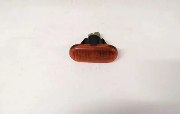 Front fender indicator light