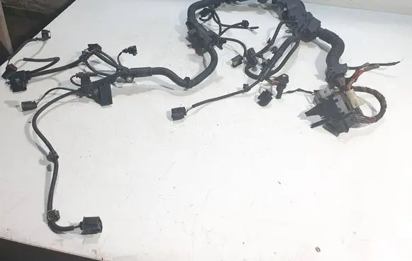 Engine installation wiring loom