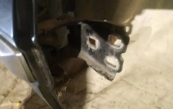Rear door lower hinge