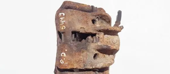 Citroen Berlingo Front brake caliper