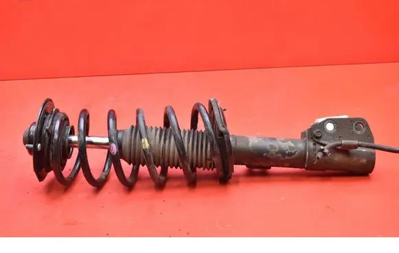 Chevrolet Captiva Front shock absorber/damper