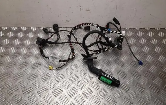 Porsche Macan (95B) Front door wiring loom 95B971029AE