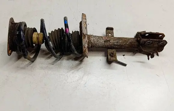 Renault Captur Front shock absorber with coil spring AW5FA487498544