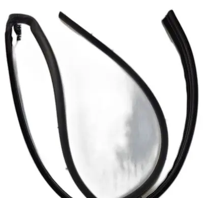 Opel Vivaro Front door rubber seal 93850789