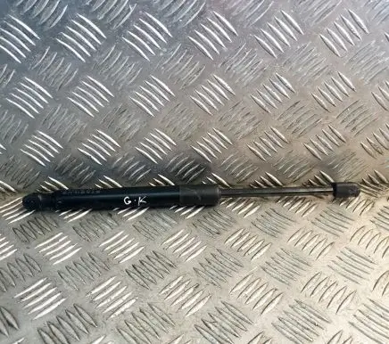 Tesla Model 3 Tailgate/trunk strut/damper 109156000B