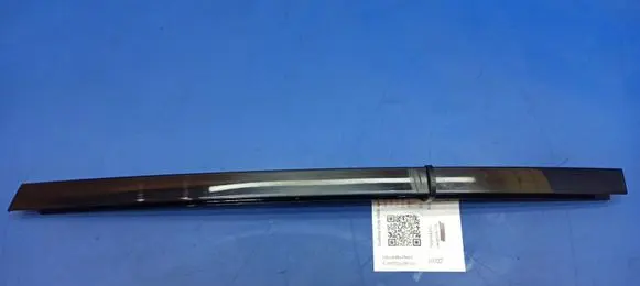 Rear door glass trim molding
