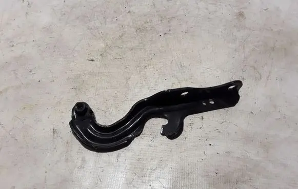 Dodge Durango Engine bonnet/hood hinges 55369563AE