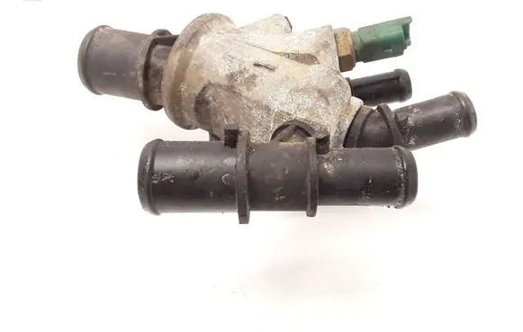 Thermostat/thermostat housing