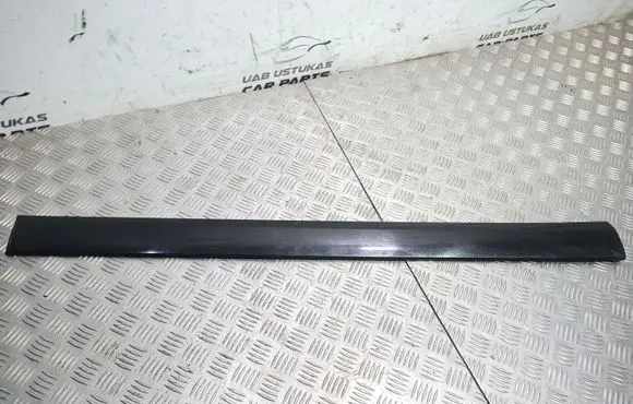 Front door trim (molding)
