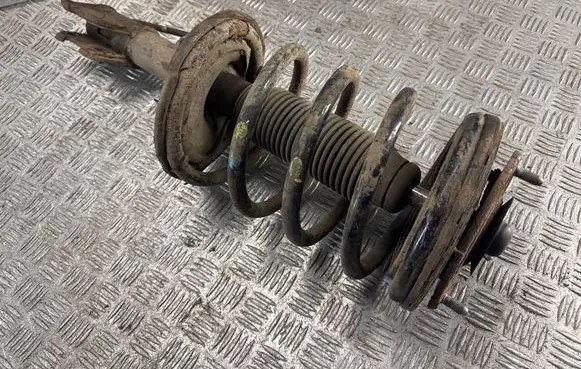 Hyundai Santa Fe Front shock absorber/damper