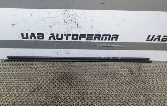 Ford Focus Rubber seal front door window/glass 