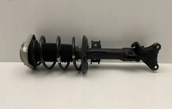 Mercedes-Benz CLS C218 X218 Front shock absorber with coil spring A2183209113