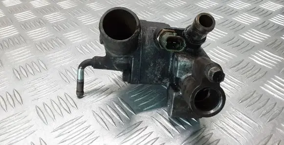Thermostat/thermostat housing