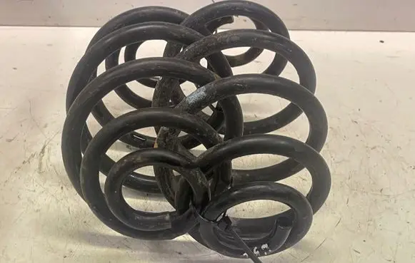 Volkswagen PASSAT B5.5 Rear coil spring