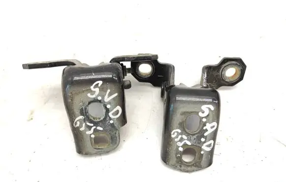 Renault Laguna III Rear door hinge set NV676