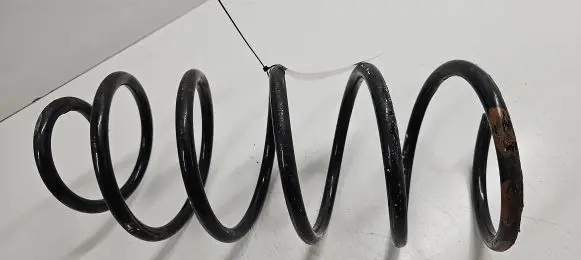 Front coil spring