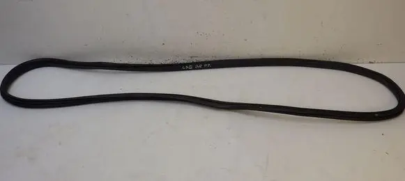 Citroen C3 Front door rubber seal 9813059580