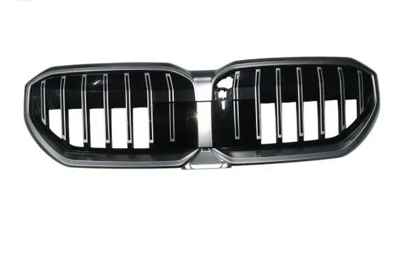 BMW 5 G60 Front grill 5A017A9 18017811 5113
