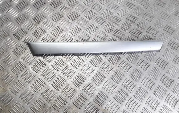 Other rear door trim element
