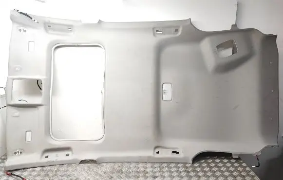 Toyota RAV 4 (XA40) Headlining