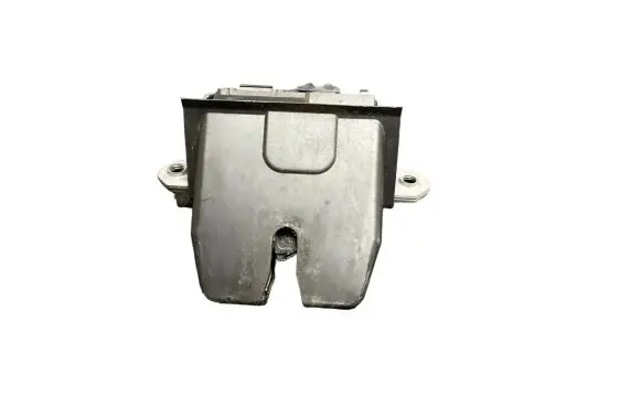 Ford Focus Loading door lock 