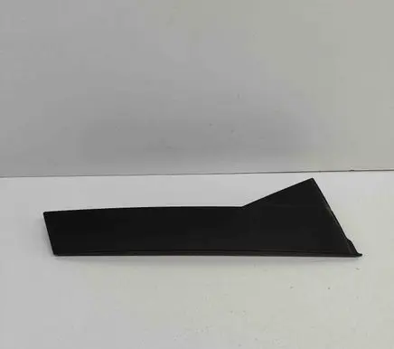 Rear door glass trim molding