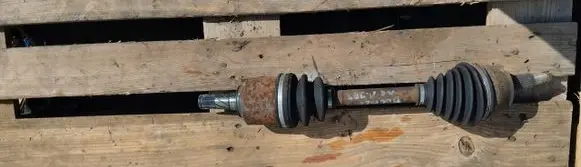 Fiat Doblo Rear shock absorber with coil spring 