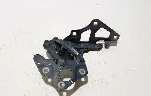 Mercedes-Benz EQS V297 Engine bonnet/hood hinges A2978801300
