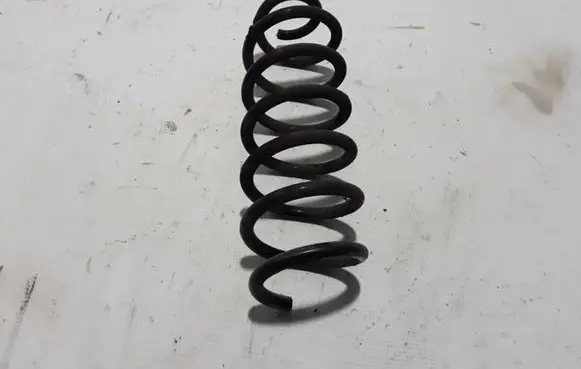 Nissan Qashqai Rear coil spring 550204EA0B